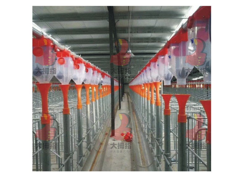 �i���Ԅ��Ͼ��O��