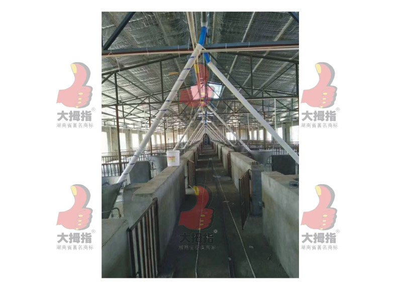 �i���Ԅ��Ͼ��O��