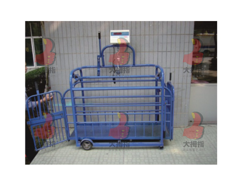 ��Ĵָ�N�i�y����