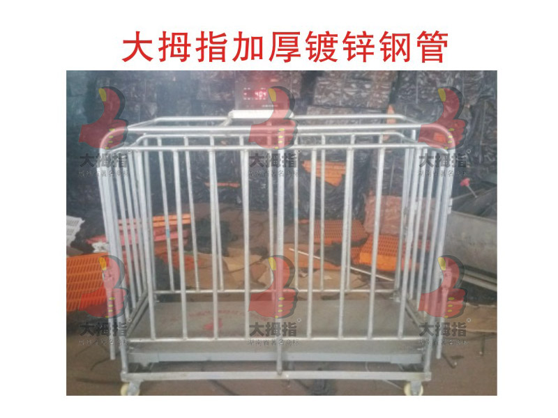 ��Ĵָ�N�i�y����