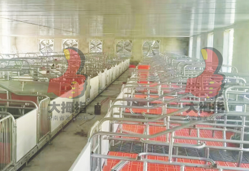 ��Ĵָ�����©�S��ĸ�i�a��,ĸ�i�a��,��Ĵָĸ�i�a��,��Ĵָ�B�i�O��,��ʳ��,�Lɳ�B�i�O��,�i�˹��ھ�,�Lɳ�B�i�O�乫˾,�����i�˹��ھ�,�����i���O��,���ϴ�Ĵָ�����Cе�������޹�˾,�Lɳ��Ĵָ�B�i�O��S,�����Lɳ�B�i����е